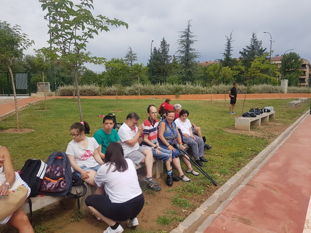 20190726_113854_resized (002)