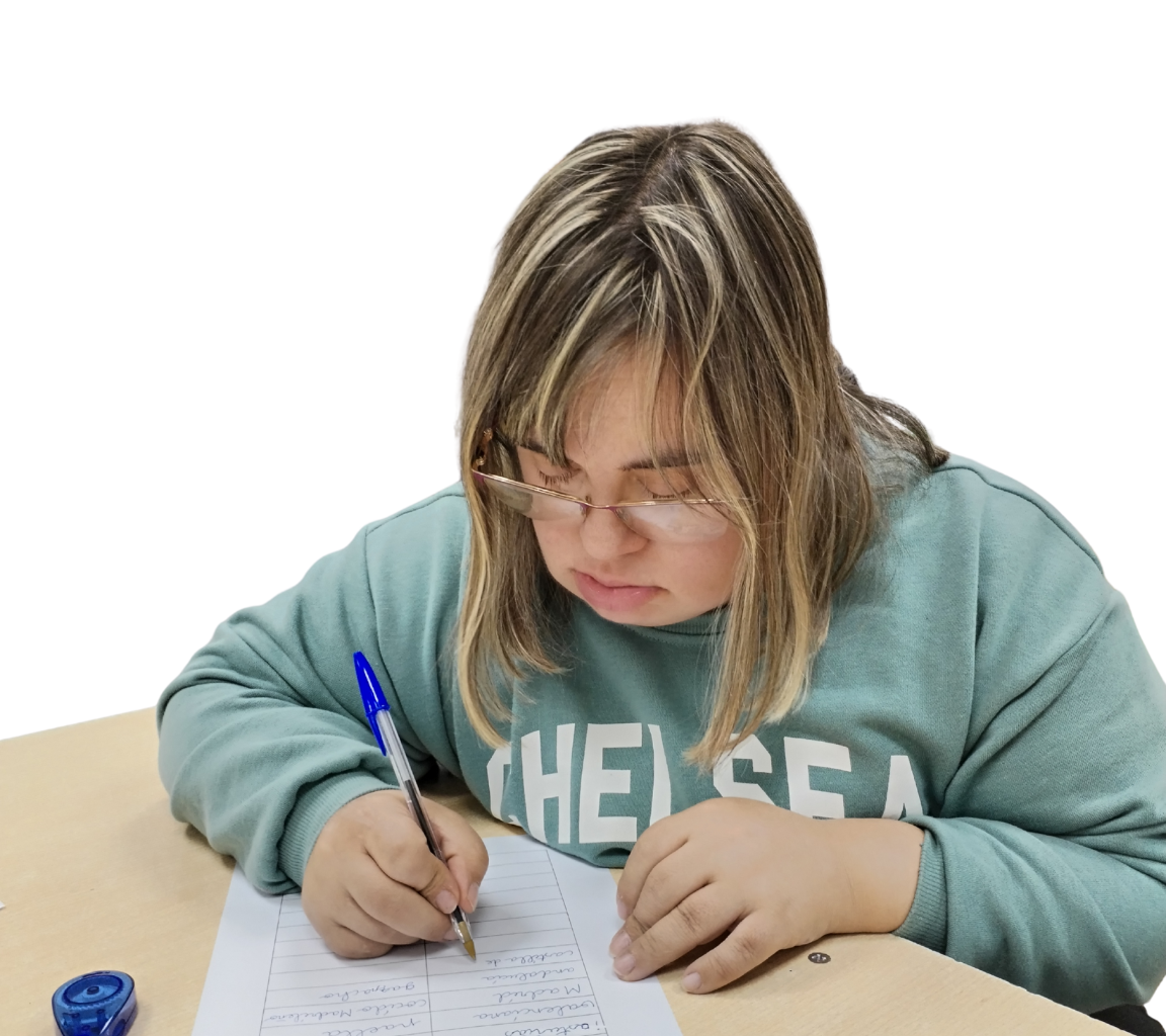 Diseño sin título - 2025-11-26T103053.897